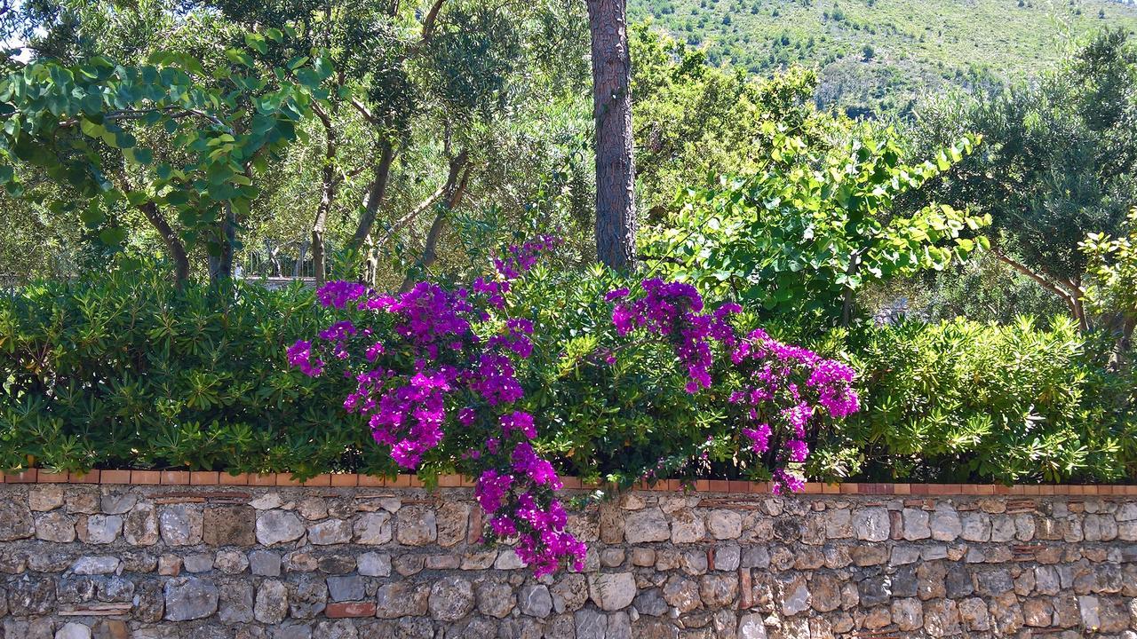 Hotel Cala Del Citro Maratea Buitenkant foto